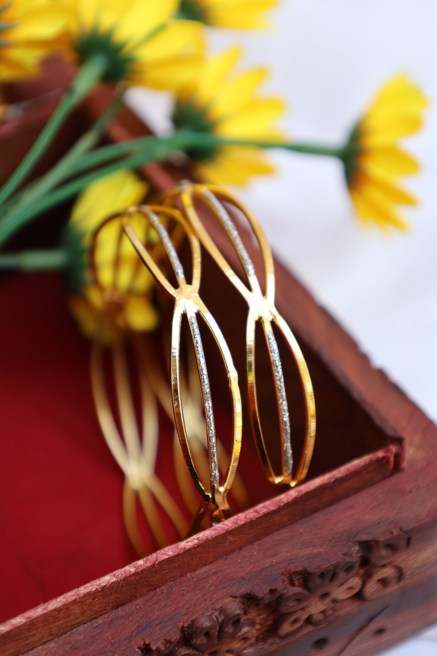 Elegant Bangle Set